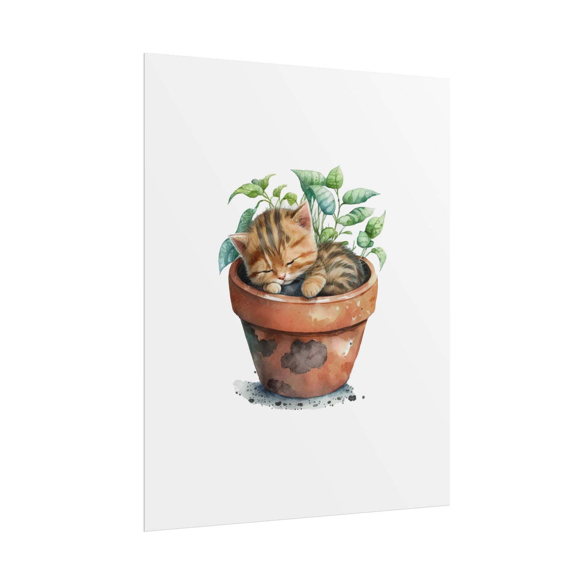 Sleeping Kitten in Potted Plant - Poster - Empressive Luxe 
