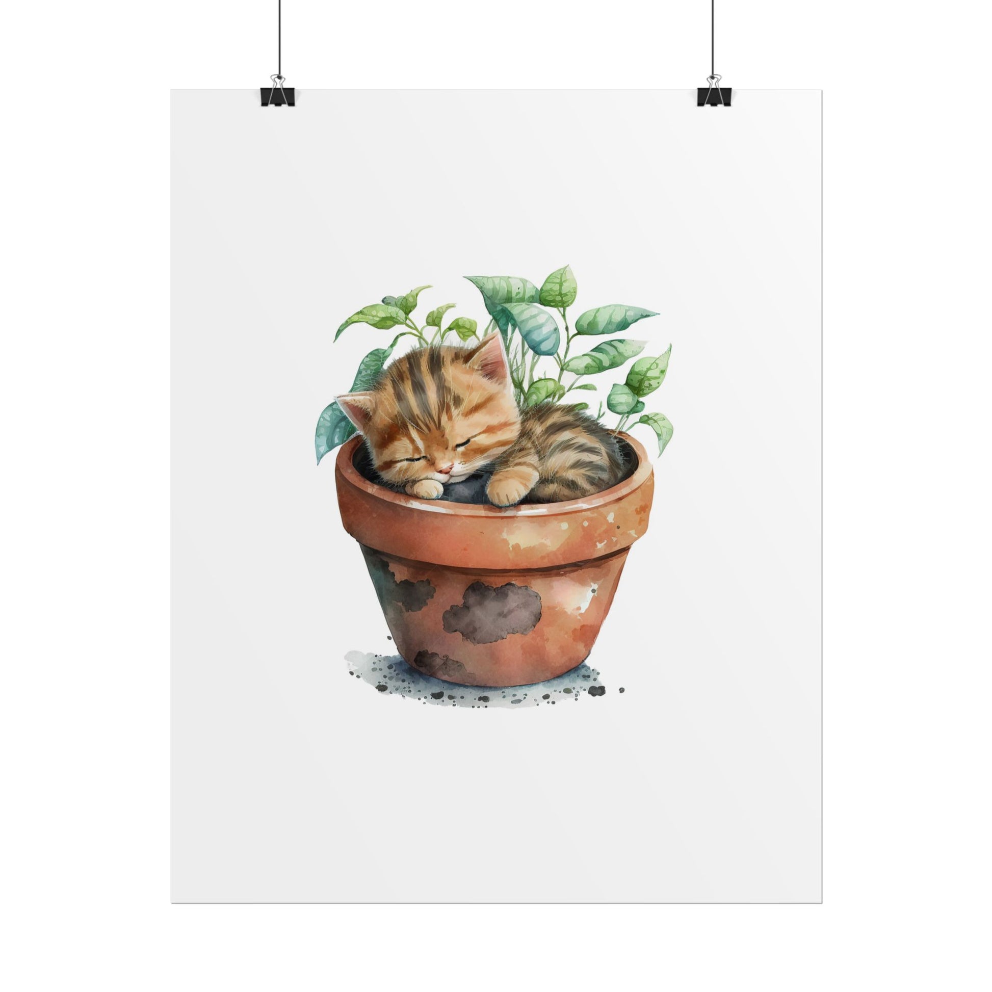 Sleeping Kitten in Potted Plant - Poster - Empressive Luxe 