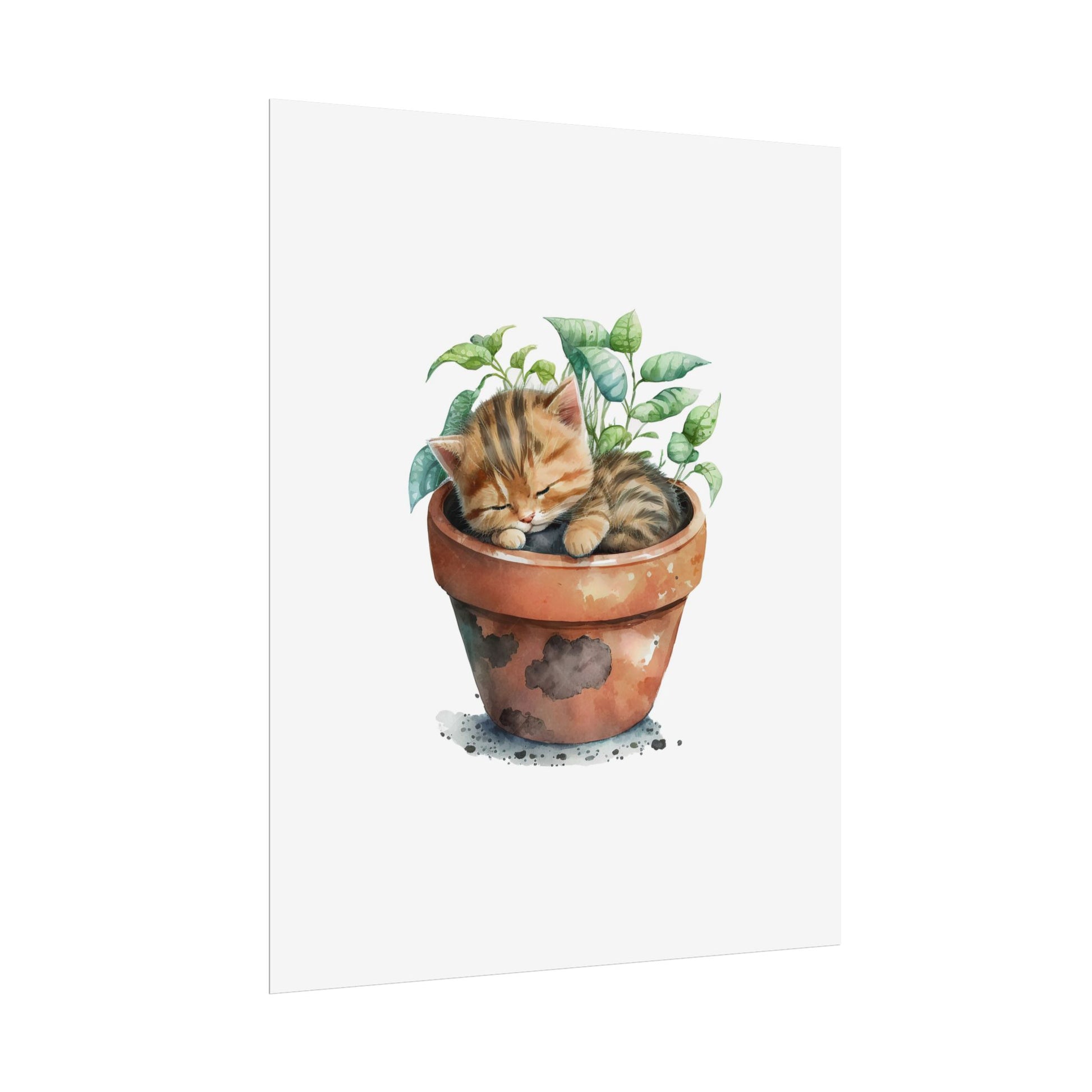 Sleeping Kitten in Potted Plant - Poster - Empressive Luxe 