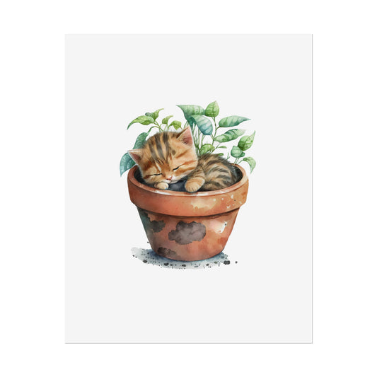 Sleeping Kitten in Potted Plant - Poster - Empressive Luxe 
