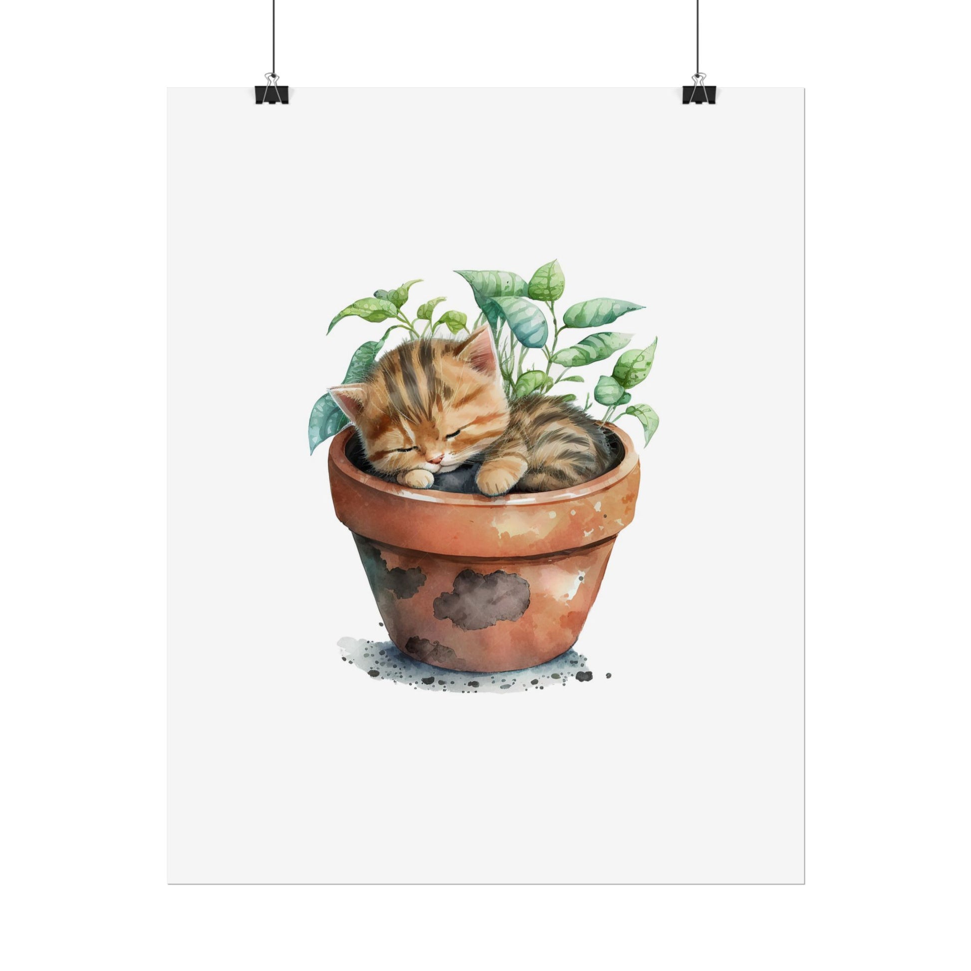 Sleeping Kitten in Potted Plant - Poster - Empressive Luxe 