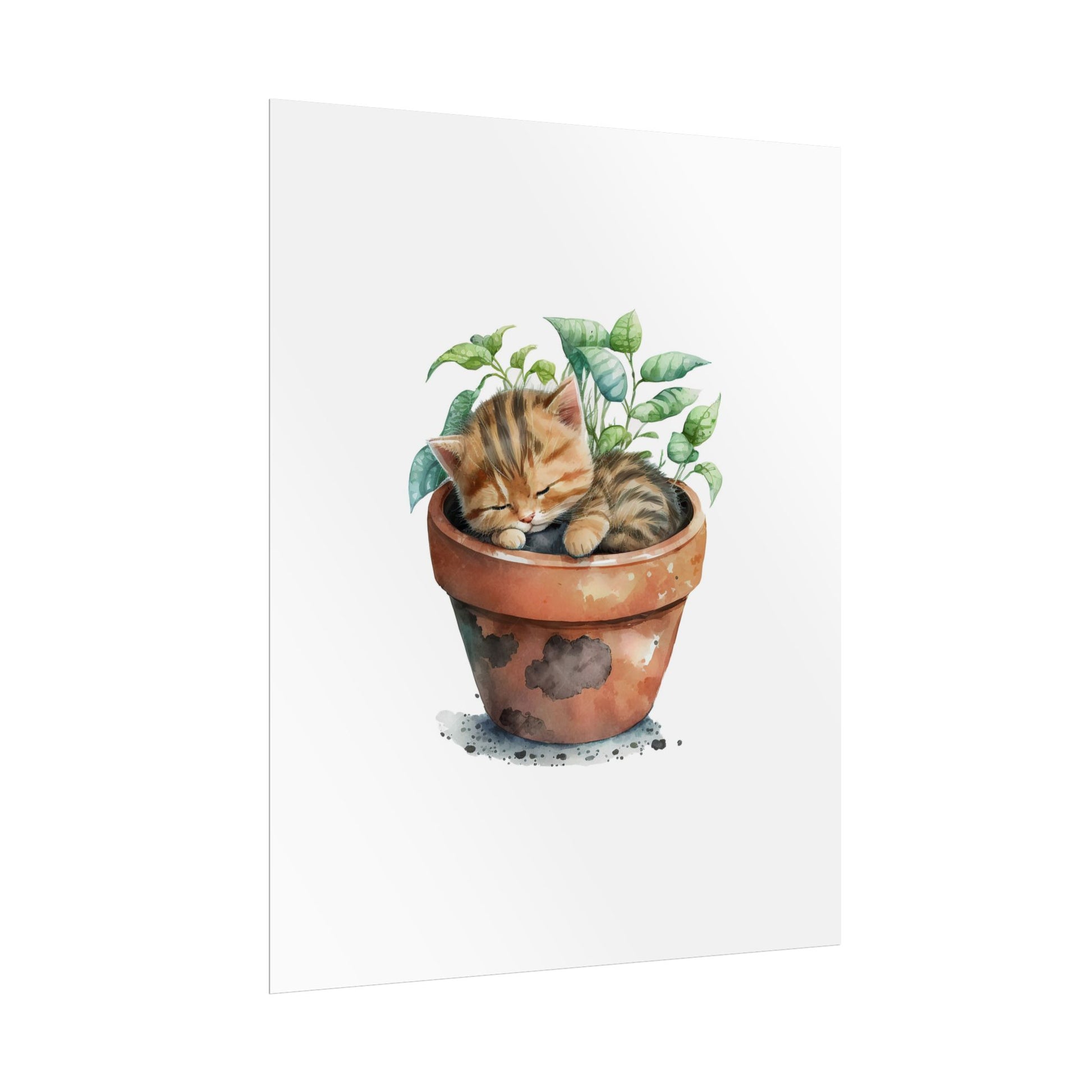 Sleeping Kitten in Potted Plant - Poster - Empressive Luxe 